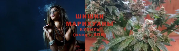 шишки Пестово