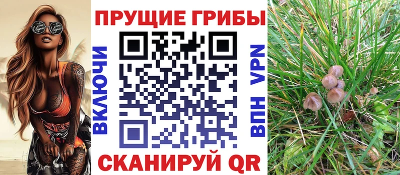 mega зеркало  Магадан  Псилоцибиновые грибы мухоморы 